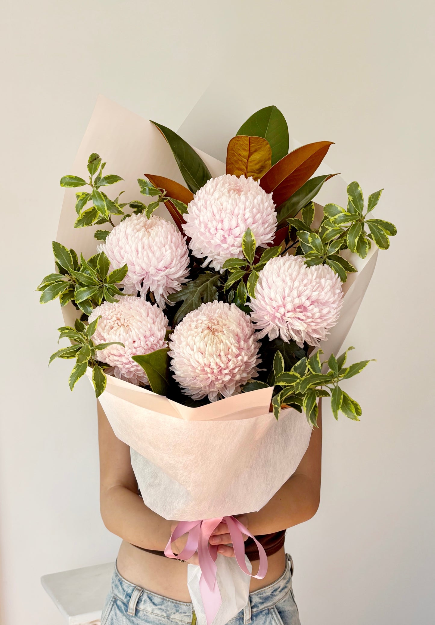 Chrysanthemum Disbuds Mums