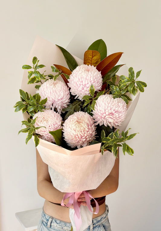 Chrysanthemum Disbuds Mums