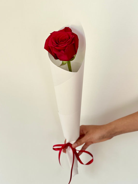 Single Red Rose